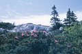 1967-Printemps-margeriaz-007