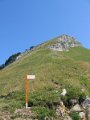IMG_0925