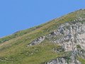 IMG_0926