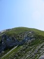 IMG_0941