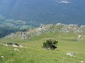 IMG_0943
