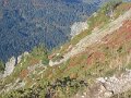 IMG_1957