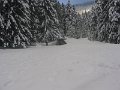 IMG_2353