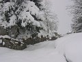 IMG_2497