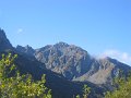 IMG_2229