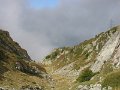 IMG_2232