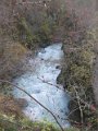 IMG_2437