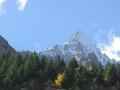 IMG_2452