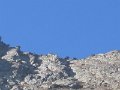 IMG_2456