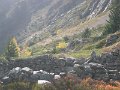 IMG_2457