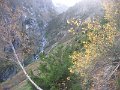 IMG_2469