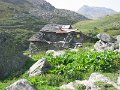 IMG_4939