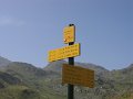 IMG_4945