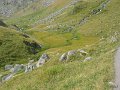 IMG_4946