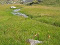 IMG_4947