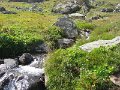 IMG_4954