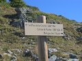 IMG_4982