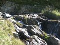 IMG_4996