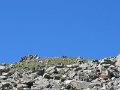 IMG_5000
