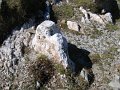 IMG_5125