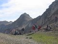 IMG_5219