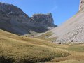 IMG_5223
