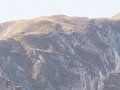 IMG_5224