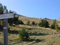 IMG_5242