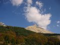 IMG_5250
