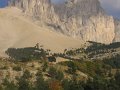 IMG_5257