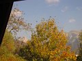 IMG_5266