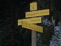 IMG_8781