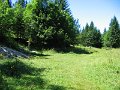 IMG_8784