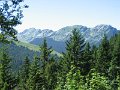 IMG_8785