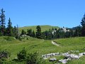 IMG_8788