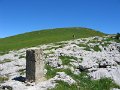 IMG_8789