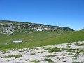 IMG_8795