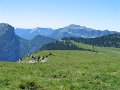 IMG_8799