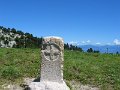 IMG_8802
