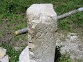 IMG_8803