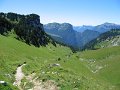 IMG_8805