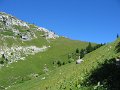 IMG_8806