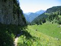 IMG_8807