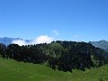 STC_8802