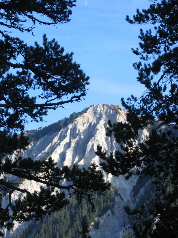 IMG_9708.JPG