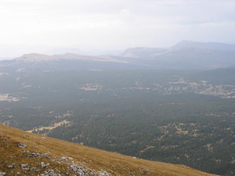 STA_9850.JPG