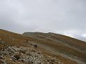IMG_9854