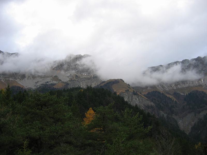 IMG_0123.JPG