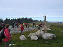 IMG_0248