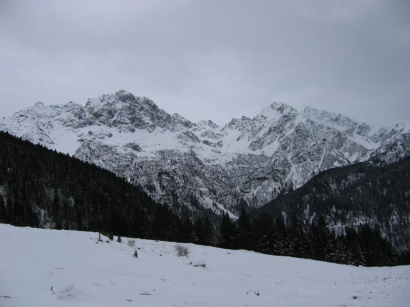 IMG_0345.JPG